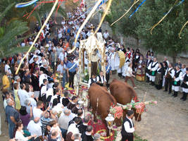 Arrivo del simulacro di Sant'Elia nella chiesa campestre