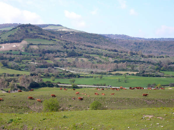 Campagna nuraghese