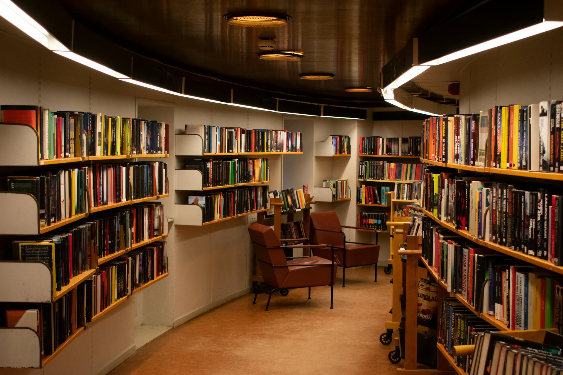 SISTEMA BIBLIOTECARIO
